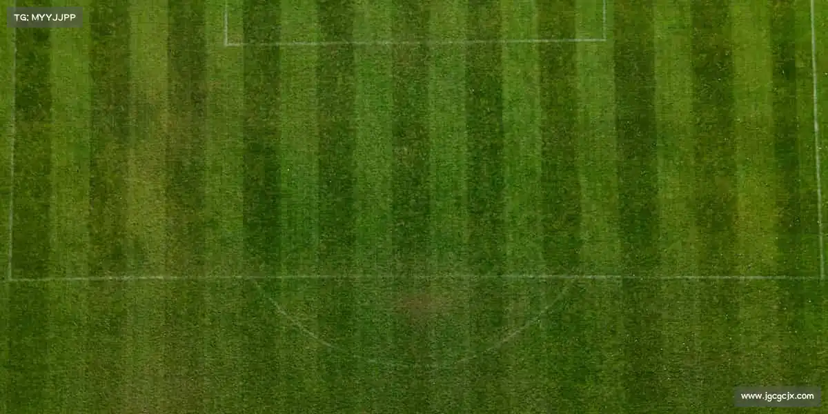 <strong>zoty中欧体育</strong>🏓小球转动大梦想，每一拍都全力以赴！